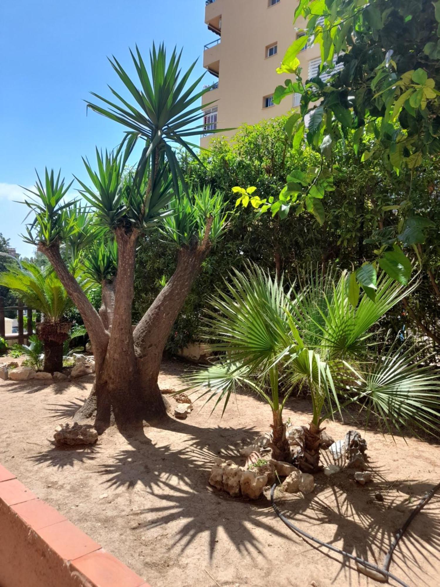 Torremolinos Centro Beach 아파트 외부 사진